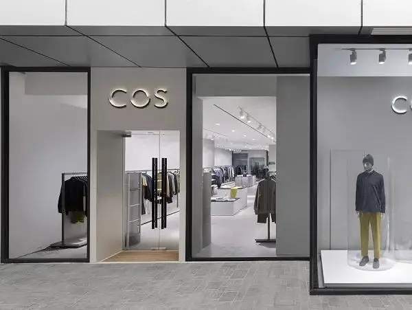 茉莉茶王是什么茶_茶茉莉花的养殖方法和注意事项_