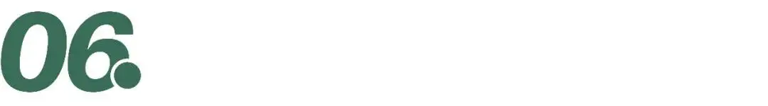 茶茉莉花的养殖方法和注意事项_茉莉茶王是什么茶_