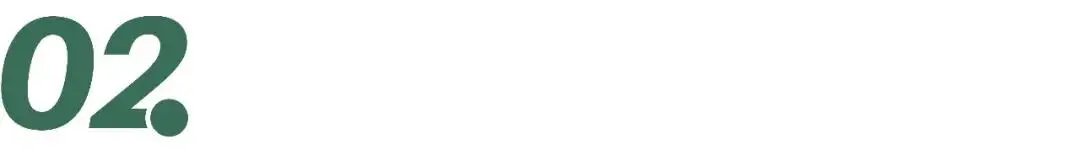 _茉莉茶王是什么茶_茶茉莉花的养殖方法和注意事项