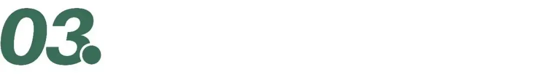 茶茉莉花的养殖方法和注意事项_茉莉茶王是什么茶_