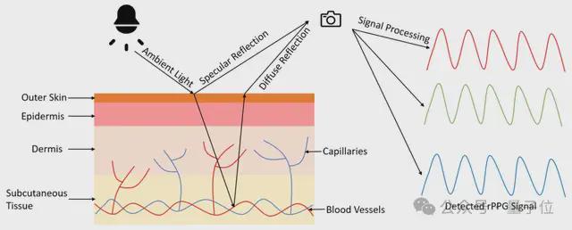 测血压隔衣服可以吗__测血压可以空腹吗