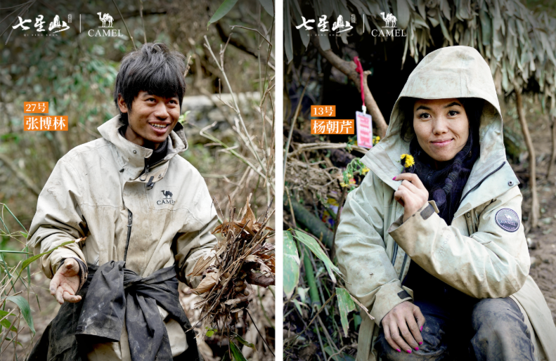 从大街到山野，骆驼不想只做“景区顶流”