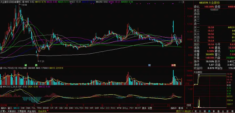钢铁板块走高 大业股份涨停