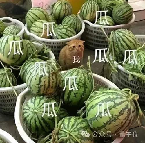 不装了！LeCun哈萨比斯神仙吵架，马斯克也站队了__马斯克比尔