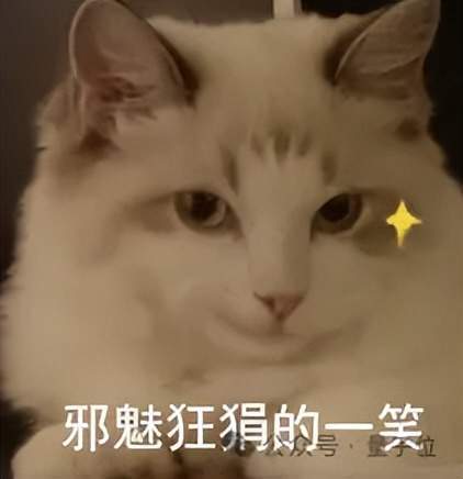 _不装了！LeCun哈萨比斯神仙吵架，马斯克也站队了_马斯克比尔