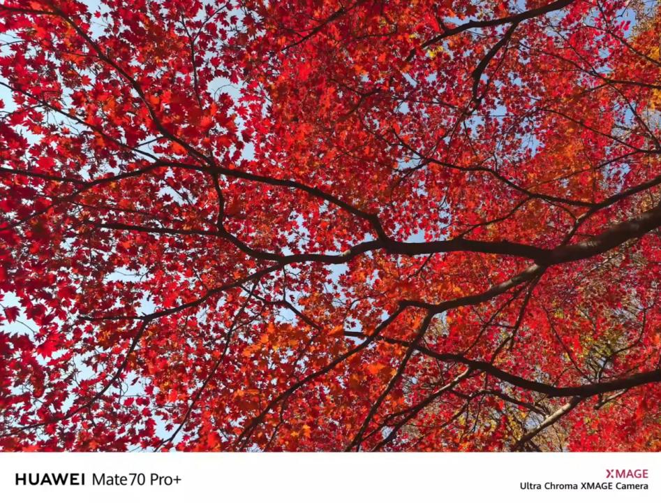 华为审美__华为魅力