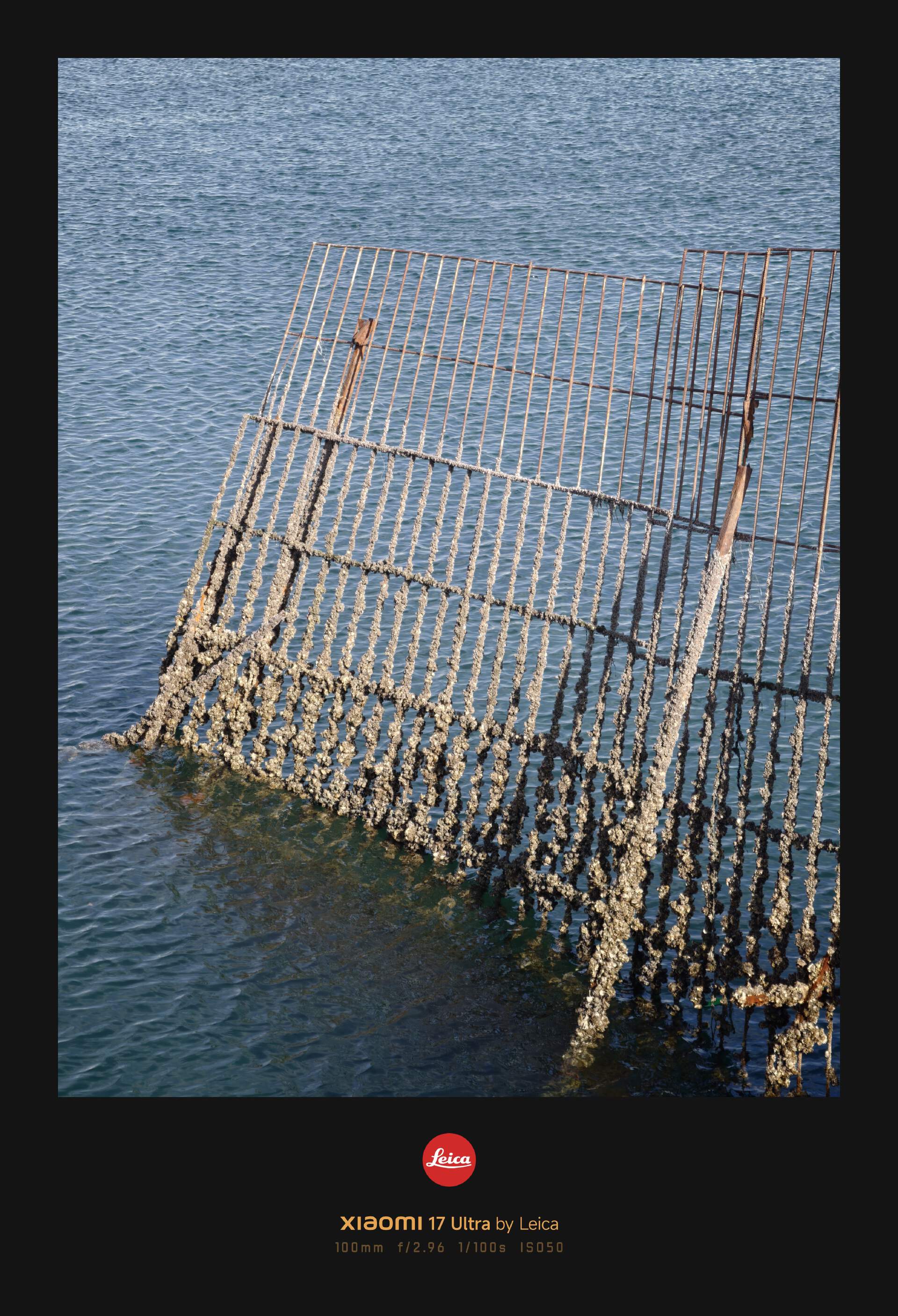 小米徕卡滤镜_徕卡小m_