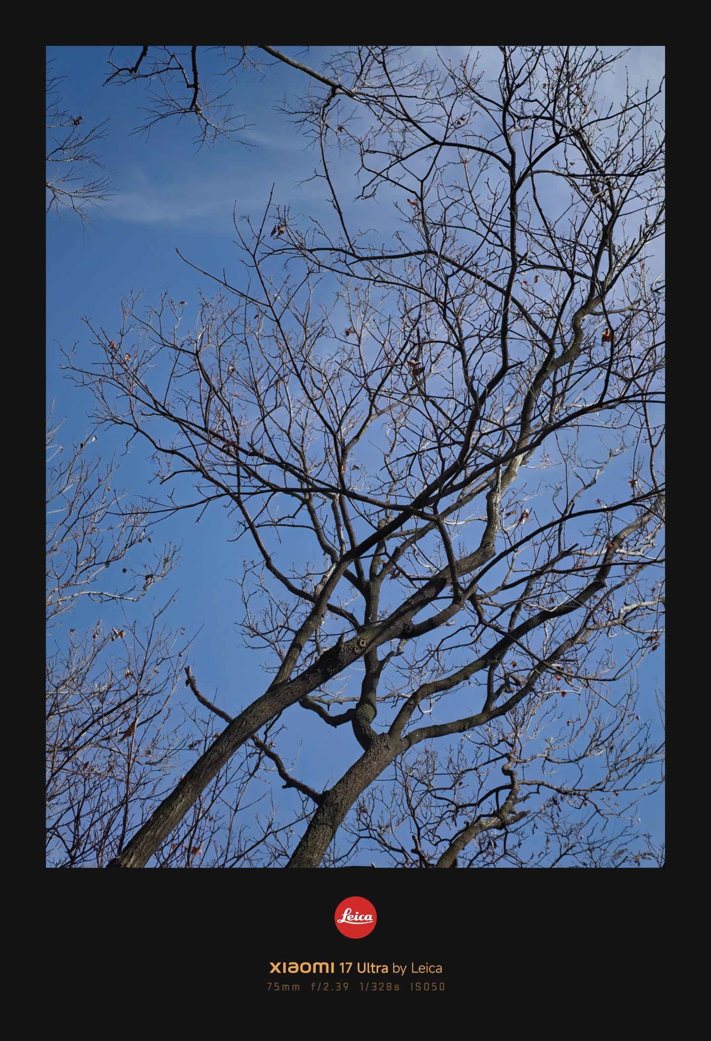 _小米徕卡滤镜_徕卡小m