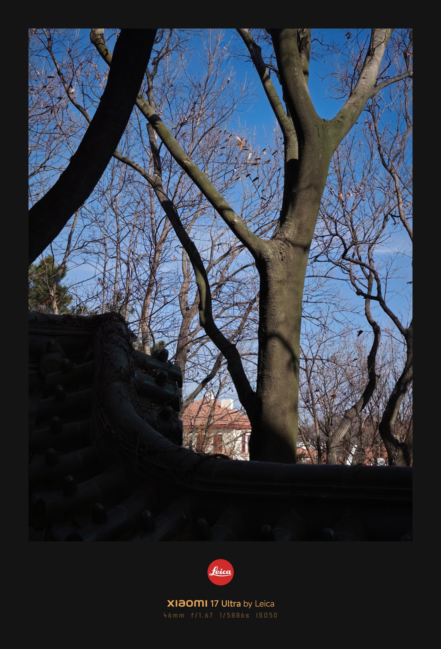 小米徕卡滤镜__徕卡小m