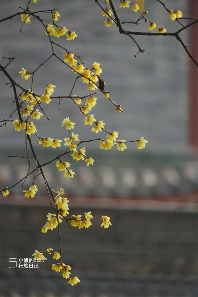 西安冬天景点__西安冬季值得去的地方