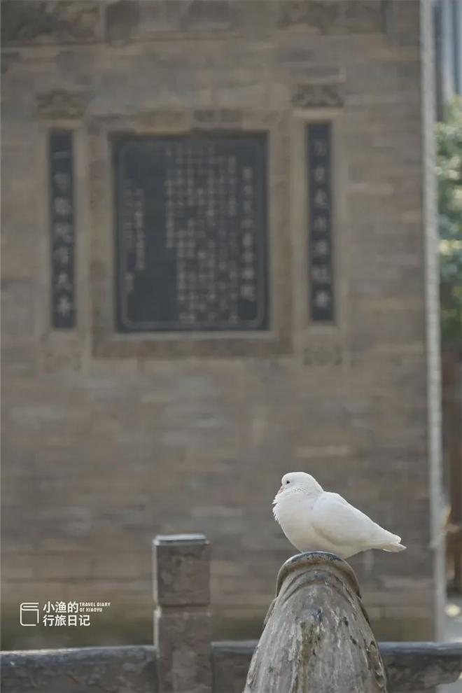 西安冬季值得去的地方_西安冬天景点_