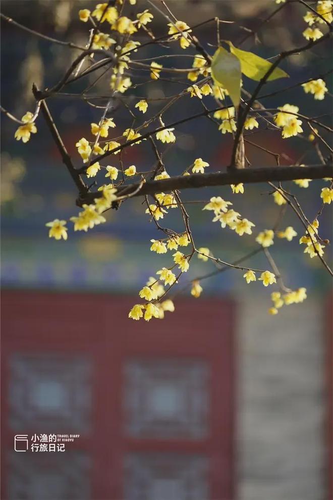 西安冬季值得去的地方_西安冬天景点_