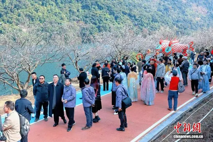 广州梅花开放时间__广州梅花花期