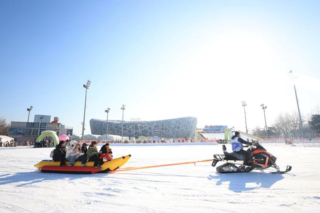 _冰雪鸟巢画作品题目_鸟巢冰雪季