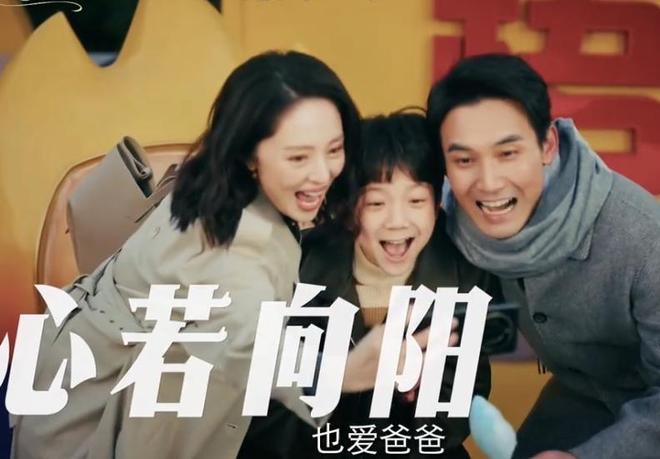 _老都市电视剧_都市频道收视率