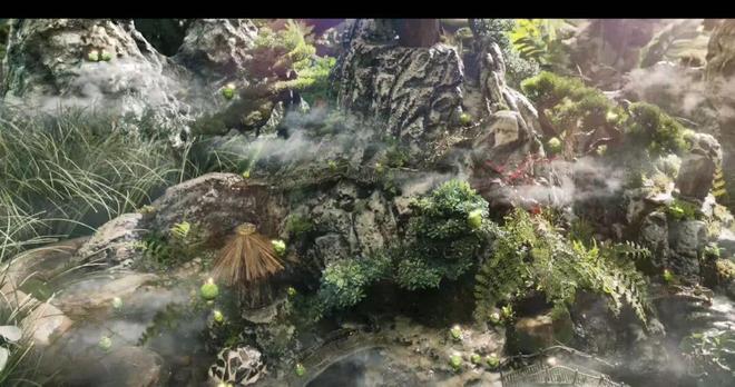 谭松韵，为什么百搭?