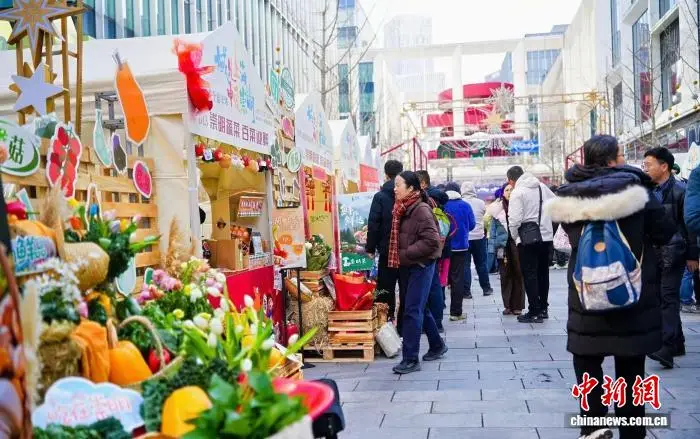 _崇明旅游团_崇明旅游服务平台