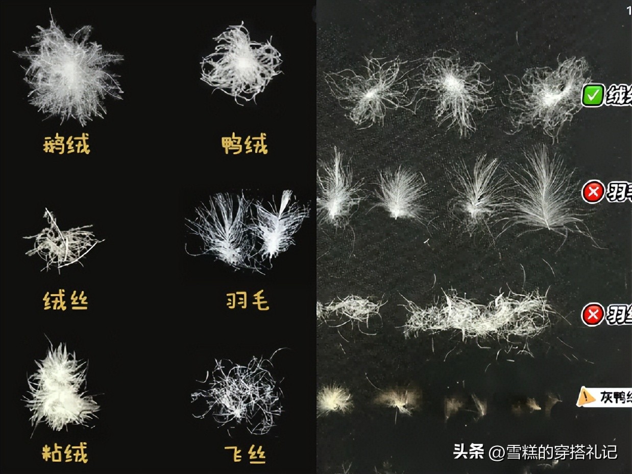 为什么如今年轻人羽绒服都买“平替”？内行人分析完，确实有道理_为什么如今年轻人羽绒服都买“平替”？内行人分析完，确实有道理_