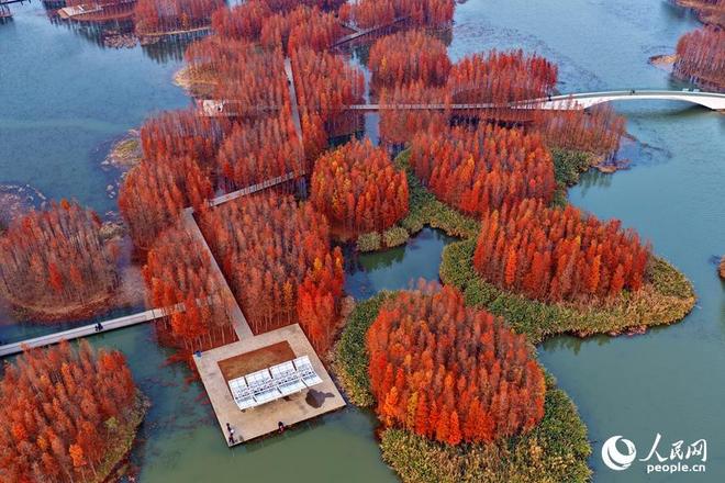 _江西森林资源概况_江西有森林吗