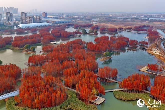 _江西有森林吗_江西森林资源概况