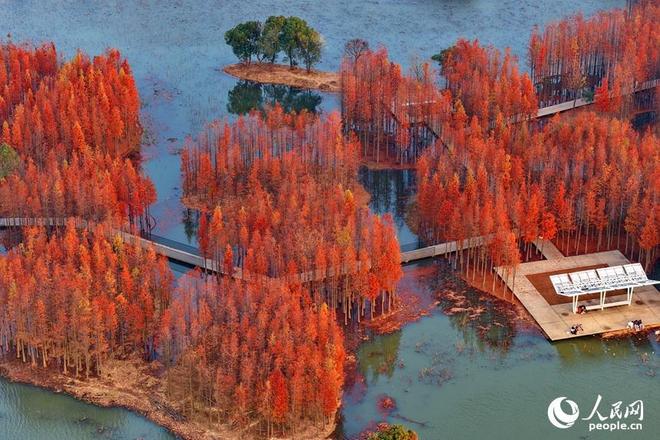 _江西有森林吗_江西森林资源概况