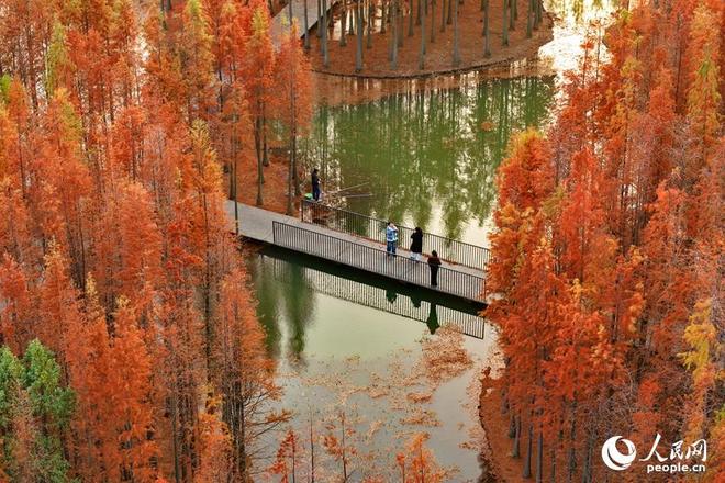 江西有森林吗__江西森林资源概况