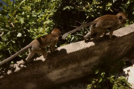 深入欧阳娜娜__欧阳娜娜艺术感随拍