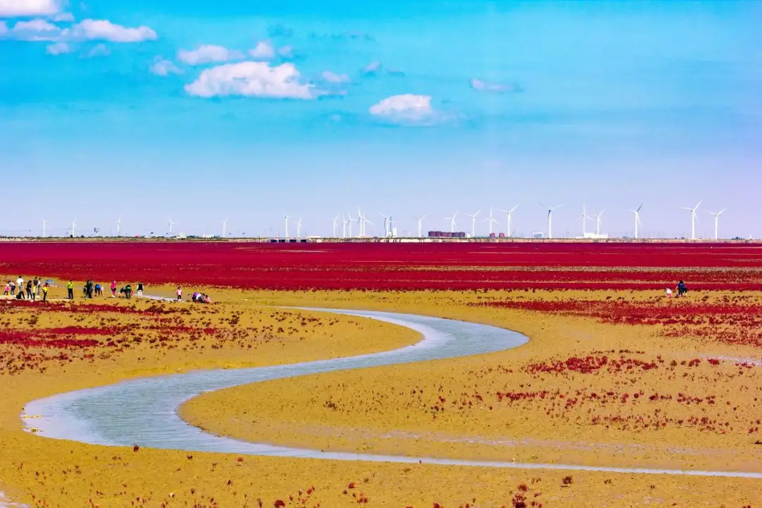 跟着东营黄河记忆乡愁主题旅游线路逛东营