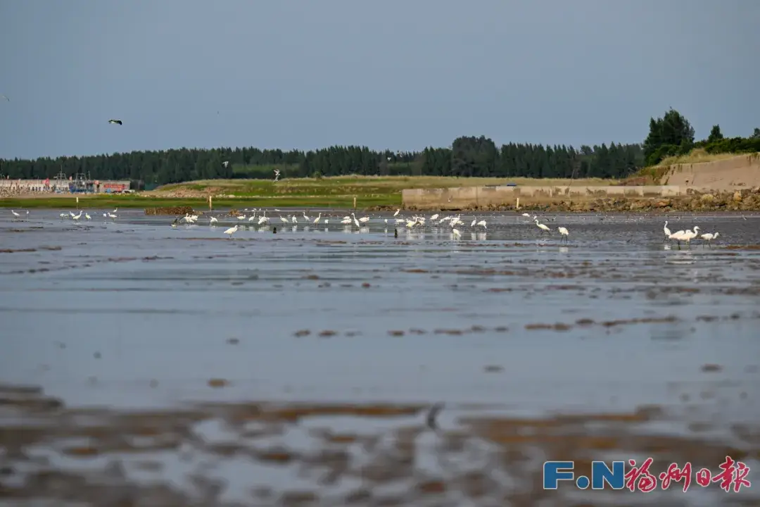 _抖音锦鲤鱼_arrow智能马桶售后电话