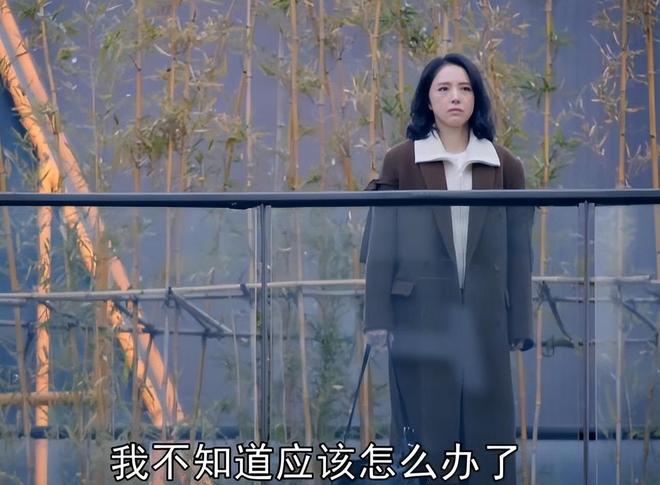 播放央视主持是假的_央视真的还是假的_