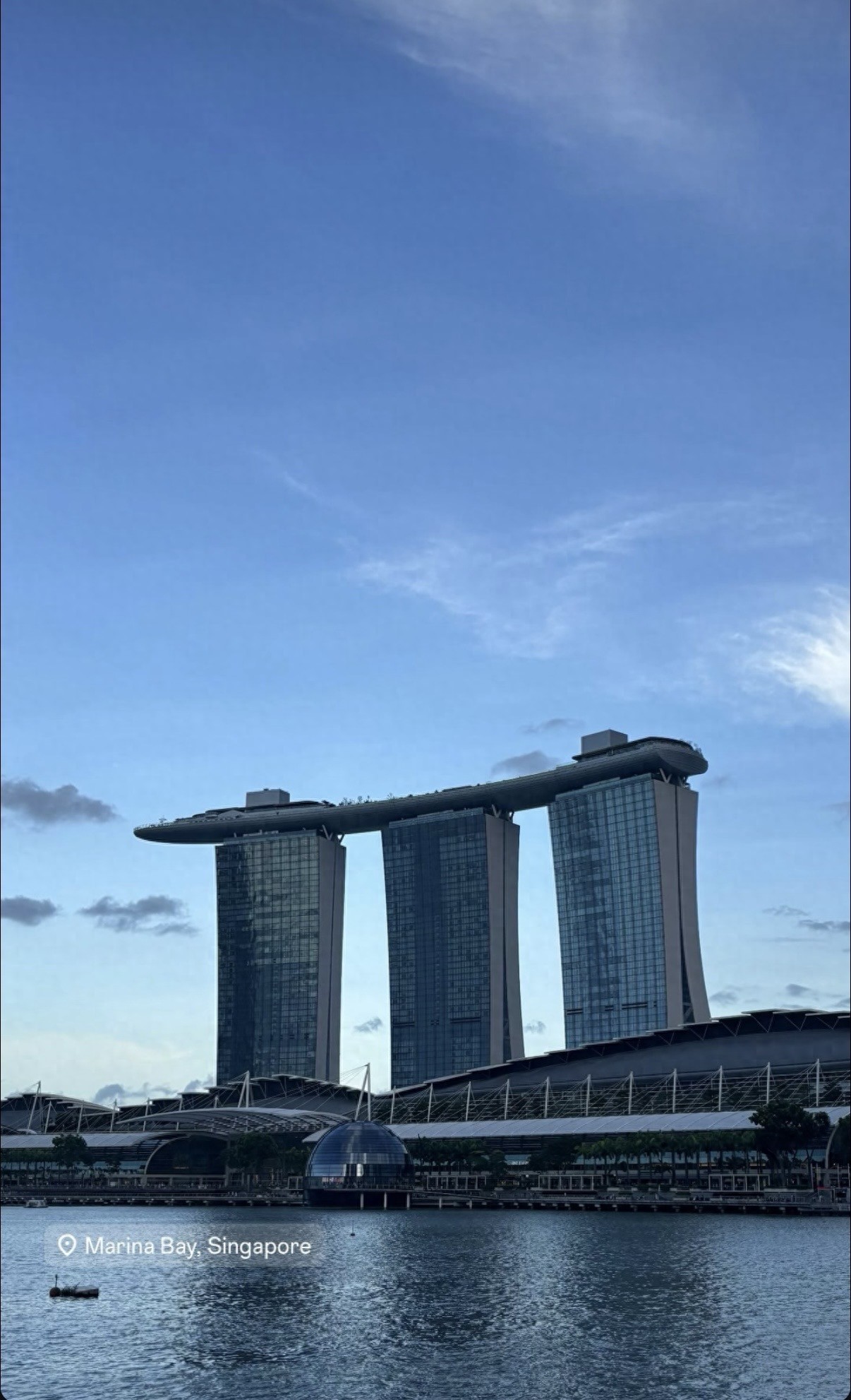 学生会为了庆祝圣诞和元旦英文__萌宠宝贝抱回家书包网