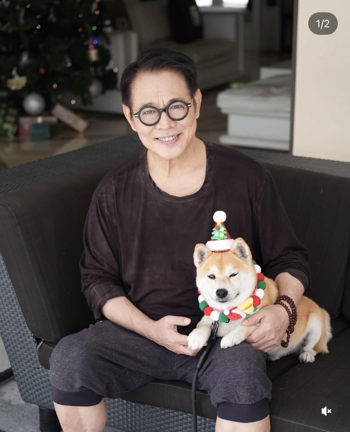 萌宠宝贝抱回家书包网_学生会为了庆祝圣诞和元旦英文_