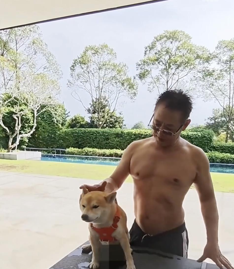 萌宠宝贝抱回家书包网__学生会为了庆祝圣诞和元旦英文