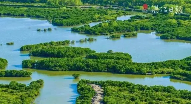 新增剧场地图、观鸟地图！“乐游广东”系列文旅地图升级上线 | 请到广东过大年_新增剧场地图、观鸟地图！“乐游广东”系列文旅地图升级上线 | 请到广东过大年_