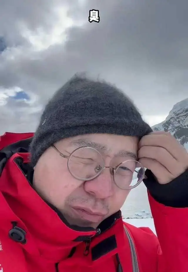 _南极企鹅被污染_饭圈南极企鹅是什么意思