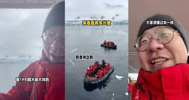 南极企鹅被污染_饭圈南极企鹅是什么意思_