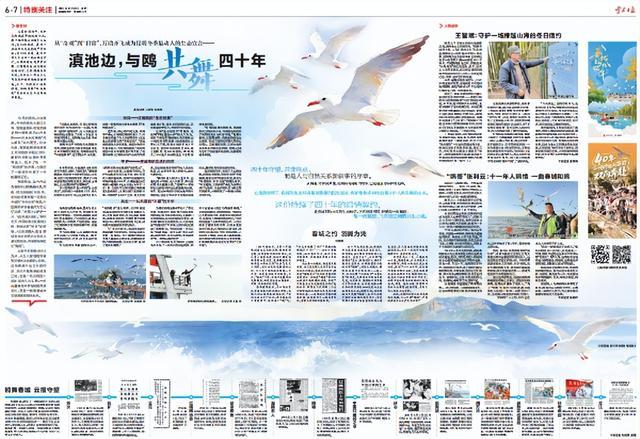 杨昊鸥十年爱情_滇池鸥歌_