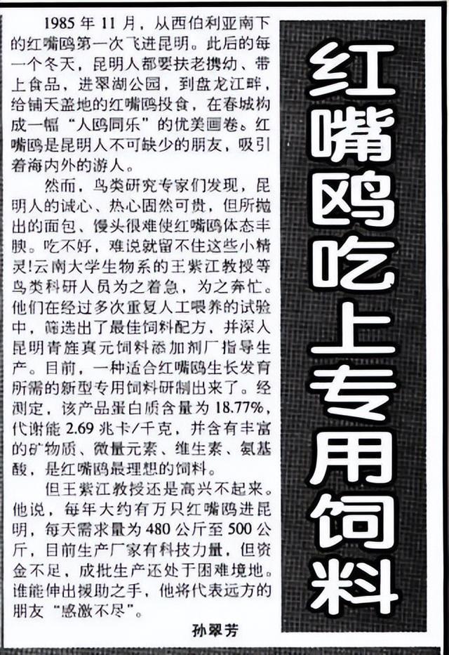 滇池鸥歌__杨昊鸥十年爱情