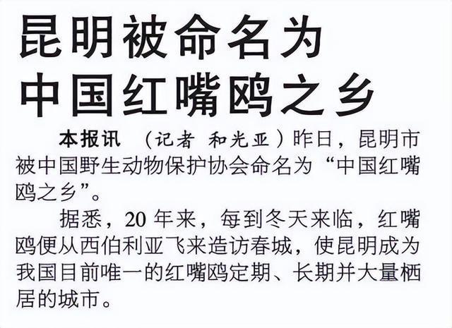 _滇池鸥歌_杨昊鸥十年爱情