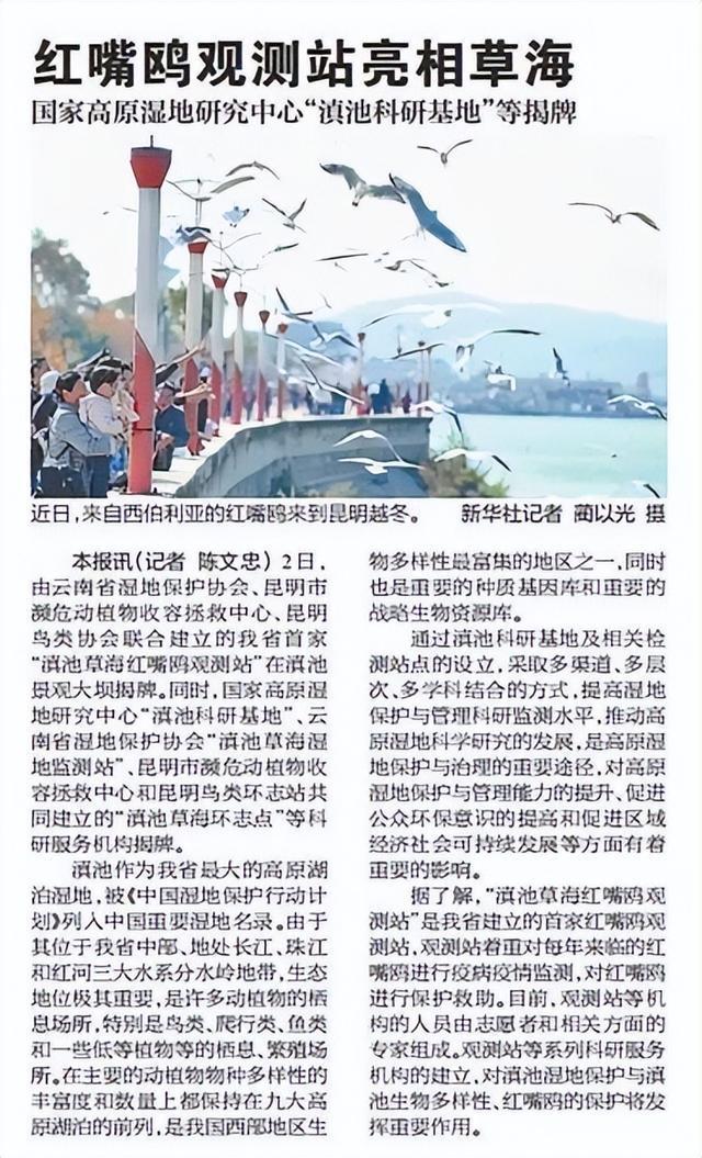 _滇池鸥歌_杨昊鸥十年爱情