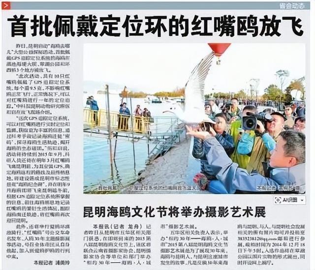 _杨昊鸥十年爱情_滇池鸥歌