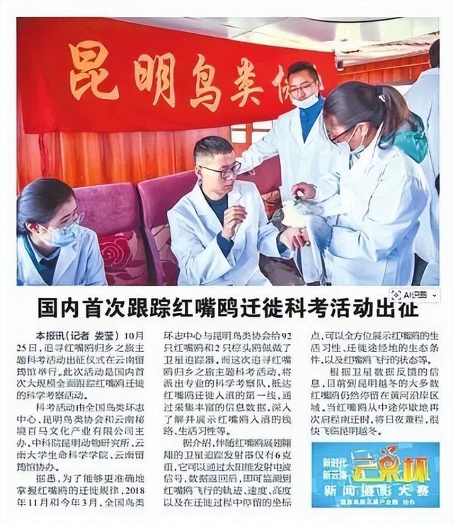 滇池鸥歌__杨昊鸥十年爱情