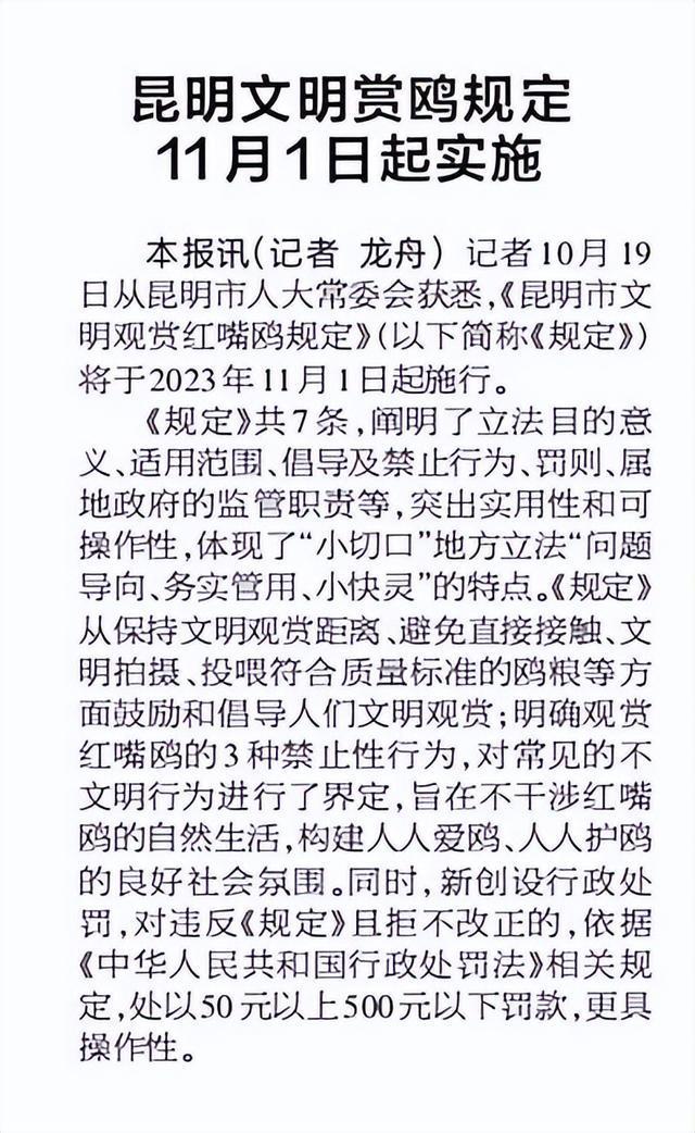 _杨昊鸥十年爱情_滇池鸥歌