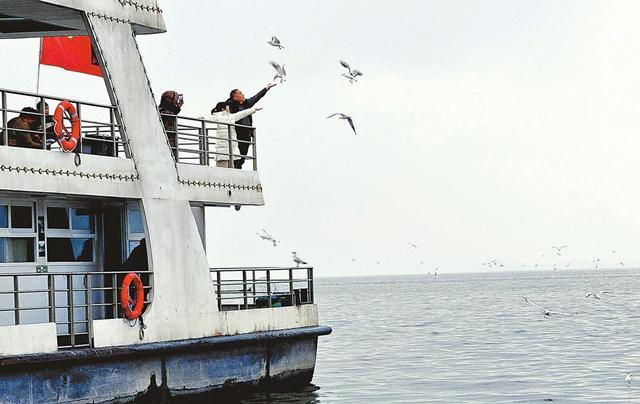 滇池鸥歌_杨昊鸥十年爱情_
