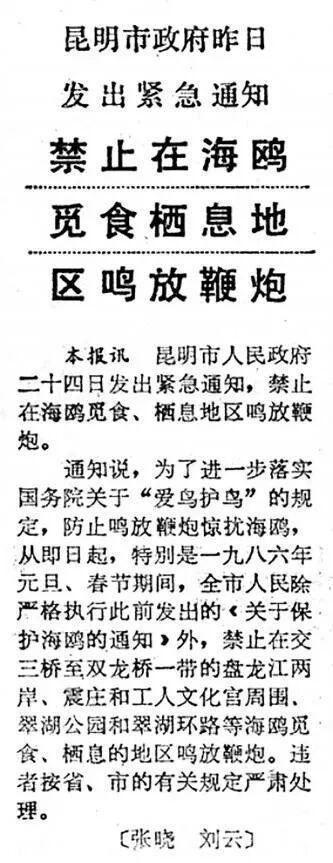 滇池鸥歌__杨昊鸥十年爱情