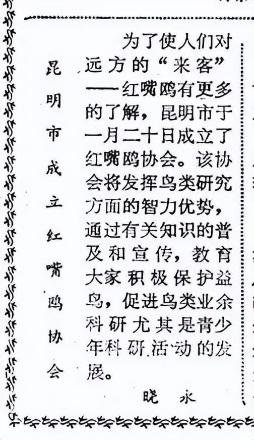 杨昊鸥十年爱情_滇池鸥歌_