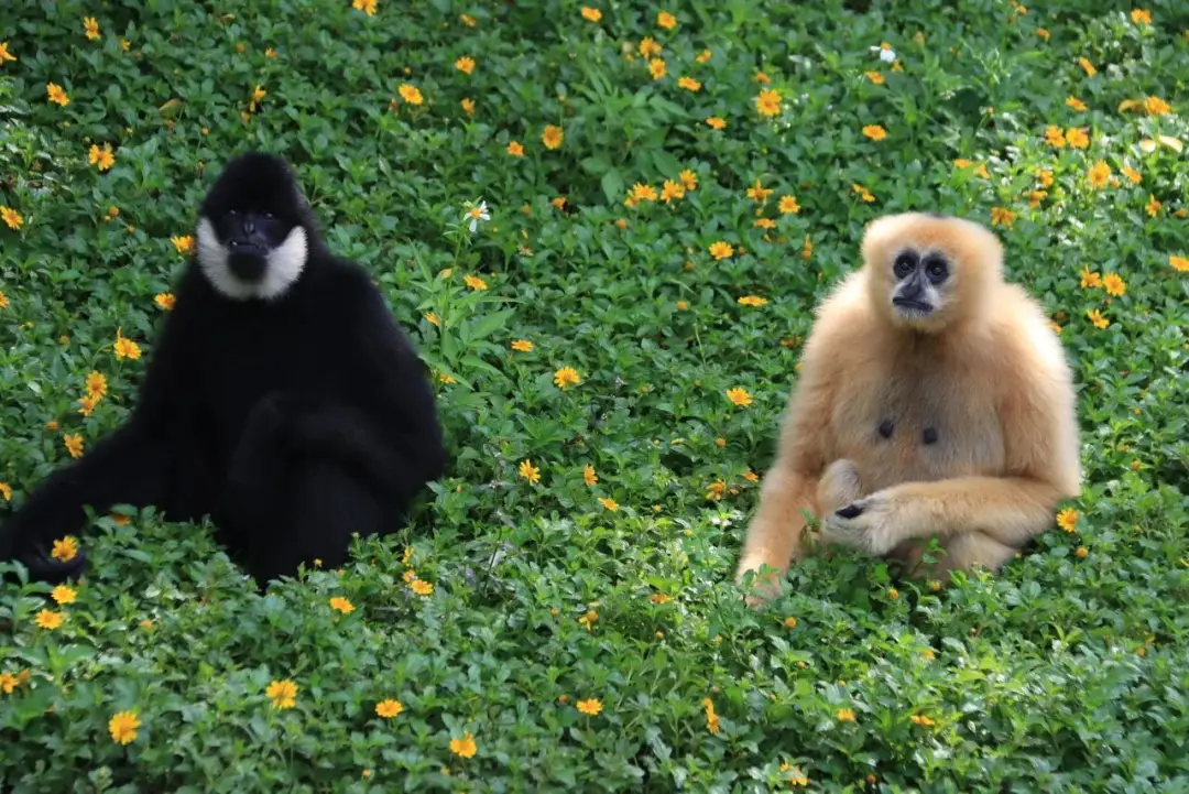 _文旅欢乐多！元旦假期为你奉上“旅游大餐”和“文化大参”_文旅欢乐多！元旦假期为你奉上“旅游大餐”和“文化大参”