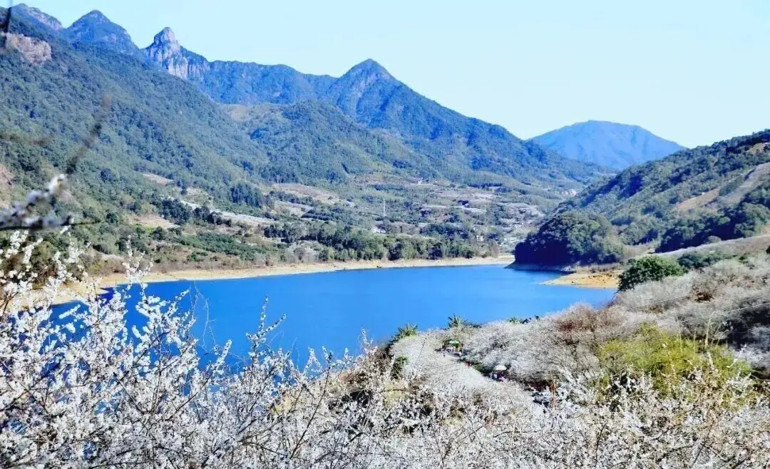 文旅欢乐多！元旦假期为你奉上“旅游大餐”和“文化大参”__文旅欢乐多！元旦假期为你奉上“旅游大餐”和“文化大参”