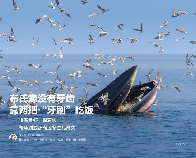 一年带娃看了几百个地方！最省妈的旅行方式，必须收藏__一年带娃看了几百个地方！最省妈的旅行方式，必须收藏