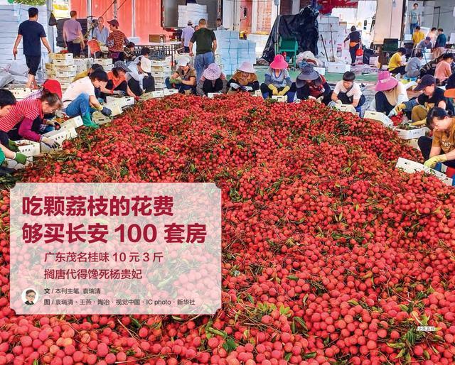 一年带娃看了几百个地方！最省妈的旅行方式，必须收藏__一年带娃看了几百个地方！最省妈的旅行方式，必须收藏